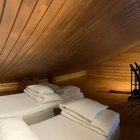 Arvonelioet Lomahimos 18 *